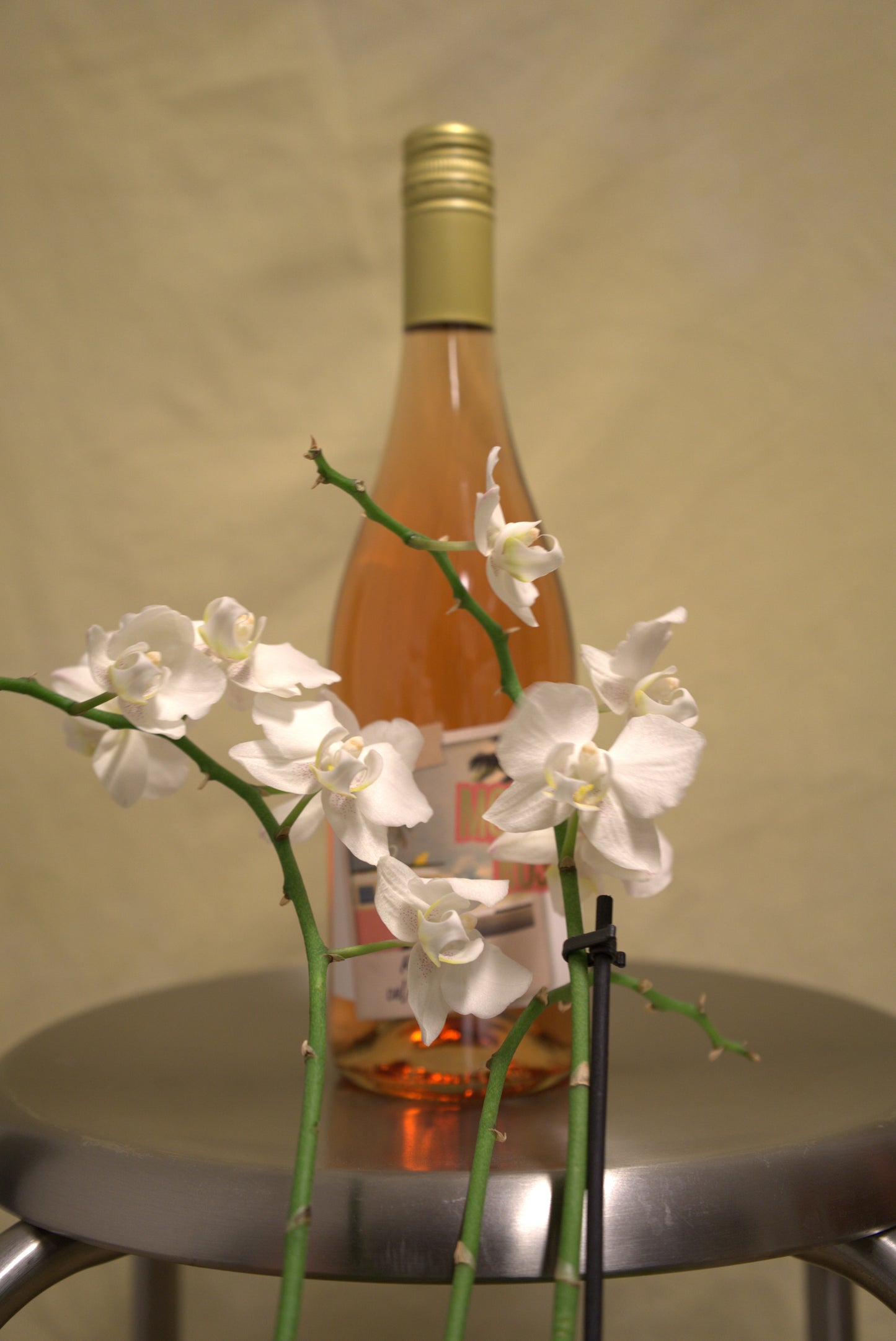 Momento Rosa