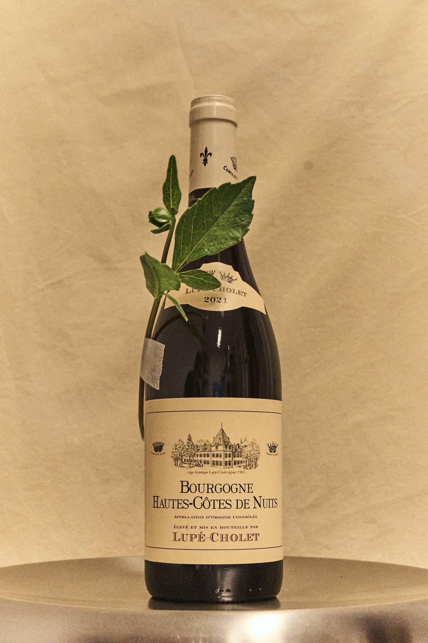 Hautes-Côtes de Nuits, Bourgogne