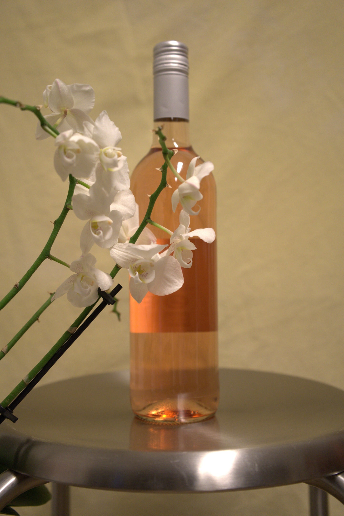 Øko Rosé Back Label